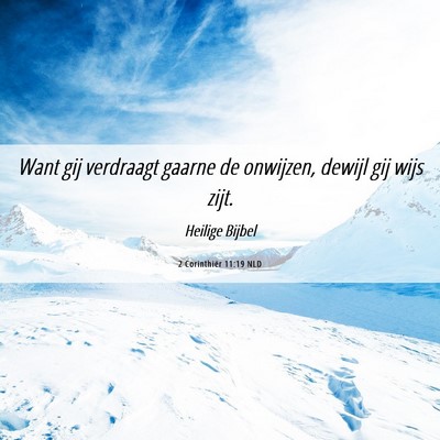 Picture 06 - 2 Corinthiër 11:19 NLD - Want gij verdraagt gaarne de onwijzen, dewijl gij - Bible Verse Picture