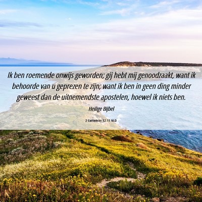 Picture 06 - 2 Corinthiër 12:11 NLD - Ik ben roemende onwijs geworden; gij hebt mij - Bible Verse Picture