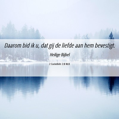Picture 06 - 2 Corinthiër 2:8 NLD - Daarom bid ik u, dat gij de liefde aan hem - Bible Verse Picture