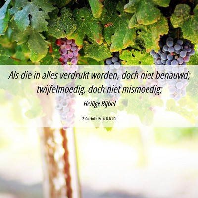 Picture 06 - 2 Corinthiër 4:8 NLD - Als die in alles verdrukt worden, doch niet - Bible Verse Picture