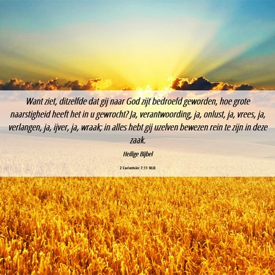 Picture 06 - 2 Corinthiër 7:11 NLD - Want ziet, ditzelfde dat gij naar God zijt - Bible Verse Picture