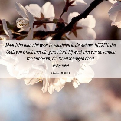 Picture 06 - 2 Koningen 10:31 NLD - Maar Jehu nam niet waar te wandelen in de wet des - Bible Verse Picture
