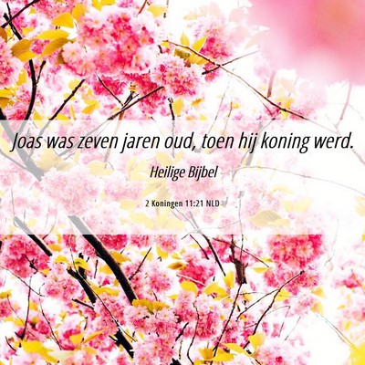 Picture 06 - 2 Koningen 11:21 NLD - Joas was zeven jaren oud, toen hij koning - Bible Verse Picture
