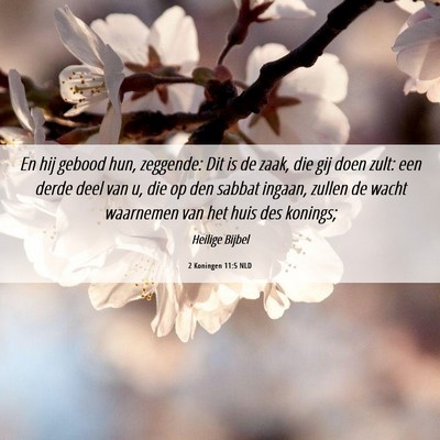 Picture 06 - 2 Koningen 11:5 NLD - En hij gebood hun, zeggende: Dit is de zaak, die - Bible Verse Picture