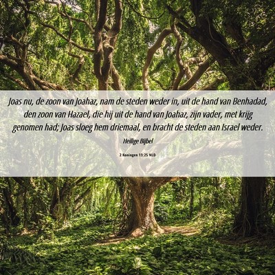 Picture 06 - 2 Koningen 13:25 NLD - Joas nu, de zoon van Joahaz, nam de steden weder - Bible Verse Picture