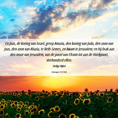 Picture 06 - 2 Koningen 14:13 NLD - En Joas, de koning van Israel, greep Amazia, den - Bible Verse Picture