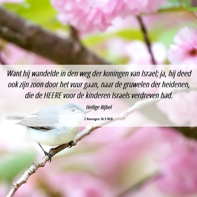 Picture 06 - 2 Koningen 16:3 NLD - Want hij wandelde in den weg der koningen van - Bible Verse Picture