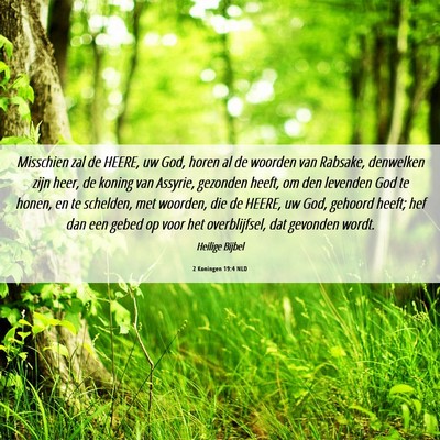 Picture 06 - 2 Koningen 19:4 NLD - Misschien zal de HEERE, uw God, horen al de - Bible Verse Picture