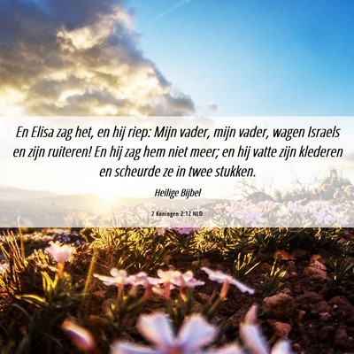 Picture 06 - 2 Koningen 2:12 NLD - En Elisa zag het, en hij riep: Mijn vader, mijn - Bible Verse Picture