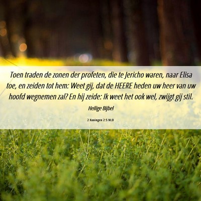 Picture 06 - 2 Koningen 2:5 NLD - Toen traden de zonen der profeten, die te Jericho - Bible Verse Picture