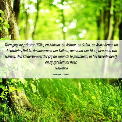 Picture 06 - 2 Koningen 22:14 NLD - Toen ging de priester Hilkia, en Ahikam, en - Bible Verse Picture