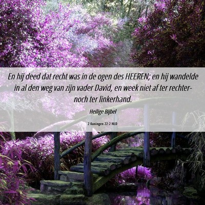 Picture 06 - 2 Koningen 22:2 NLD - En hij deed dat recht was in de ogen des HEEREN; - Bible Verse Picture