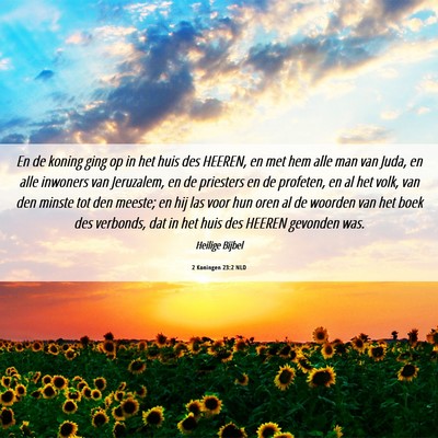 Picture 06 - 2 Koningen 23:2 NLD - En de koning ging op in het huis des HEEREN, en - Bible Verse Picture