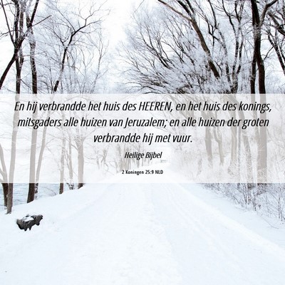 Picture 06 - 2 Koningen 25:9 NLD - En hij verbrandde het huis des HEEREN, en het - Bible Verse Picture