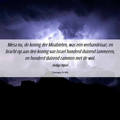 Picture 06 - 2 Koningen 3:4 NLD - Mesa nu, de koning der Moabieten, was een - Bible Verse Picture