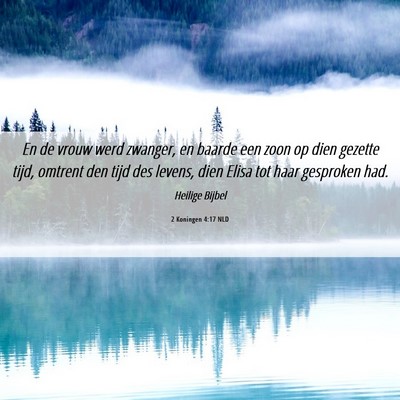 Picture 06 - 2 Koningen 4:17 NLD - En de vrouw werd zwanger, en baarde een zoon op - Bible Verse Picture