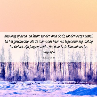 Picture 06 - 2 Koningen 4:25 NLD - Alzo toog zij heen, en kwam tot den man Gods, tot - Bible Verse Picture