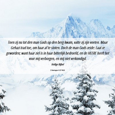 Picture 06 - 2 Koningen 4:27 NLD - Toen zij nu tot den man Gods op den berg kwam, - Bible Verse Picture
