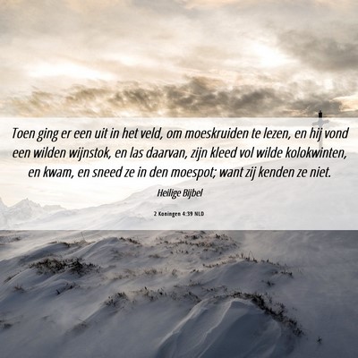 Picture 06 - 2 Koningen 4:39 NLD - Toen ging er een uit in het veld, om moeskruiden - Bible Verse Picture