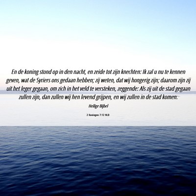 Picture 06 - 2 Koningen 7:12 NLD - En de koning stond op in den nacht, en zeide tot - Bible Verse Picture