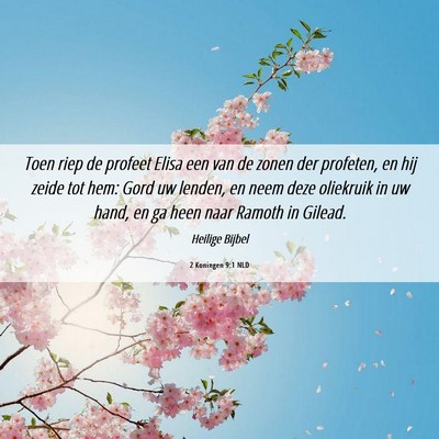 Picture 06 - 2 Koningen 9:1 NLD - Toen riep de profeet Elisa een van de zonen der - Bible Verse Picture