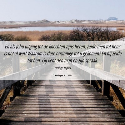 Picture 06 - 2 Koningen 9:11 NLD - En als Jehu uitging tot de knechten zijns heren, - Bible Verse Picture