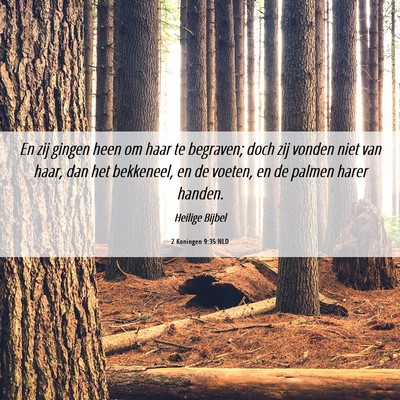 Picture 06 - 2 Koningen 9:35 NLD - En zij gingen heen om haar te begraven; doch zij - Bible Verse Picture