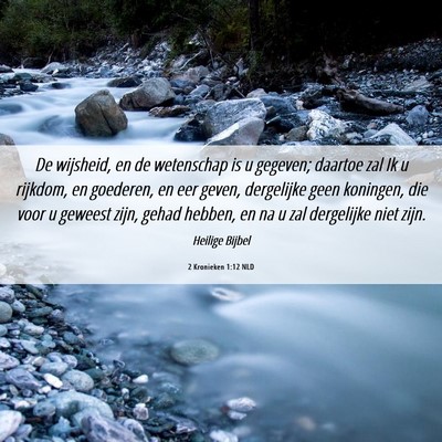 Picture 06 - 2 Kronieken 1:12 NLD - De wijsheid, en de wetenschap is u gegeven; - Bible Verse Picture