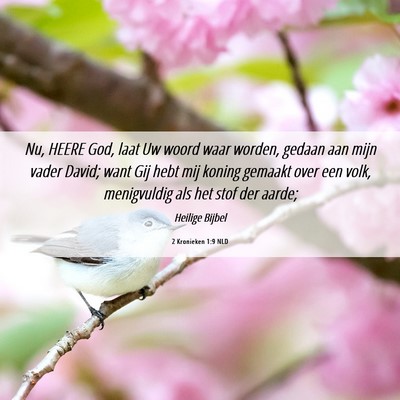 Picture 06 - 2 Kronieken 1:9 NLD - Nu, HEERE God, laat Uw woord waar worden, gedaan - Bible Verse Picture