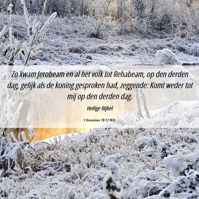 Picture 06 - 2 Kronieken 10:12 NLD - Zo kwam Jerobeam en al het volk tot Rehabeam, op - Bible Verse Picture