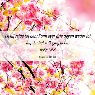 Picture 06 - 2 Kronieken 10:5 NLD - En hij zeide tot hen: Komt over drie dagen weder - Bible Verse Picture