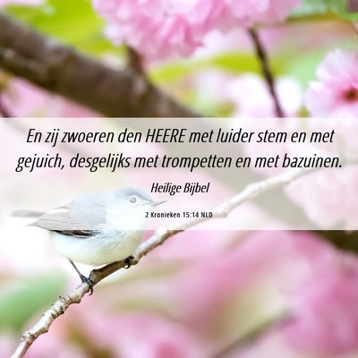 Picture 06 - 2 Kronieken 15:14 NLD - En zij zwoeren den HEERE met luider stem en met - Bible Verse Picture
