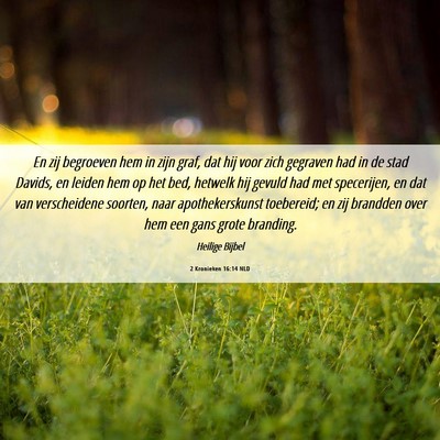 Picture 06 - 2 Kronieken 16:14 NLD - En zij begroeven hem in zijn graf, dat hij voor - Bible Verse Picture