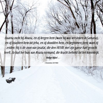 Picture 06 - 2 Kronieken 22:9 NLD - Daarna zocht hij Ahazia, en zij kregen hem (want - Bible Verse Picture