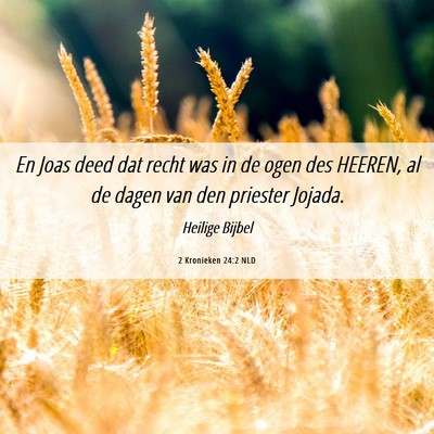 Picture 06 - 2 Kronieken 24:2 NLD - En Joas deed dat recht was in de ogen des HEEREN, - Bible Verse Picture