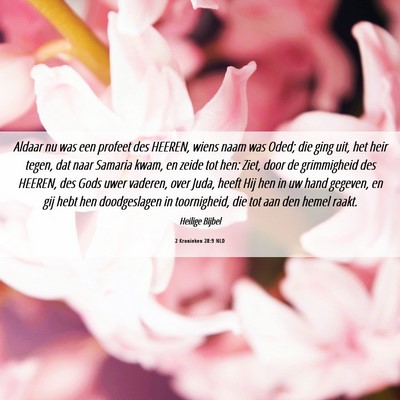 Picture 06 - 2 Kronieken 28:9 NLD - Aldaar nu was een profeet des HEEREN, wiens naam - Bible Verse Picture