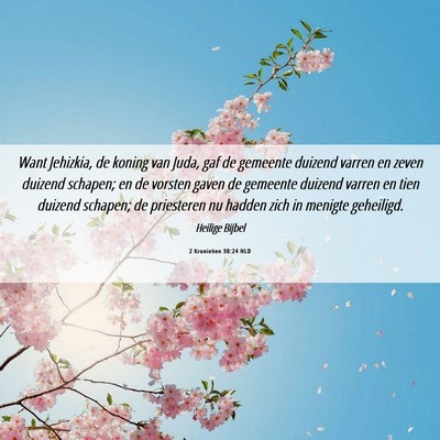 Picture 06 - 2 Kronieken 30:24 NLD - Want Jehizkia, de koning van Juda, gaf de - Bible Verse Picture
