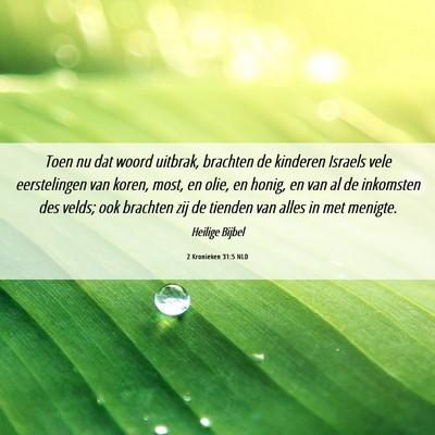 Picture 06 - 2 Kronieken 31:5 NLD - Toen nu dat woord uitbrak, brachten de kinderen - Bible Verse Picture
