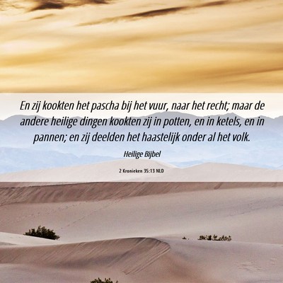 Picture 06 - 2 Kronieken 35:13 NLD - En zij kookten het pascha bij het vuur, naar het - Bible Verse Picture
