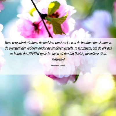 Picture 06 - 2 Kronieken 5:2 NLD - Toen vergaderde Salomo de oudsten van Israel, en - Bible Verse Picture