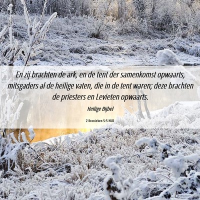 Picture 06 - 2 Kronieken 5:5 NLD - En zij brachten de ark, en de tent der samenkomst - Bible Verse Picture