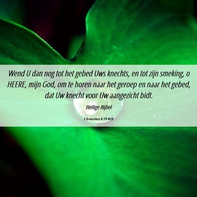 Picture 06 - 2 Kronieken 6:19 NLD - Wend U dan nog tot het gebed Uws knechts, en tot - Bible Verse Picture