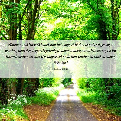 Picture 06 - 2 Kronieken 6:24 NLD - Wanneer ook Uw volk Israel voor het aangezicht - Bible Verse Picture