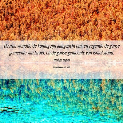 Picture 06 - 2 Kronieken 6:3 NLD - Daarna wendde de koning zijn aangezicht om, en - Bible Verse Picture