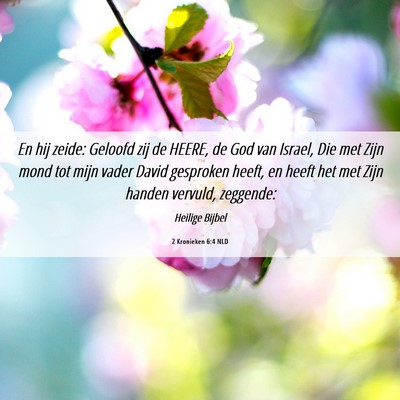 Picture 06 - 2 Kronieken 6:4 NLD - En hij zeide: Geloofd zij de HEERE, de God van - Bible Verse Picture