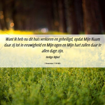 Picture 06 - 2 Kronieken 7:16 NLD - Want Ik heb nu dit huis verkoren en geheiligd, - Bible Verse Picture