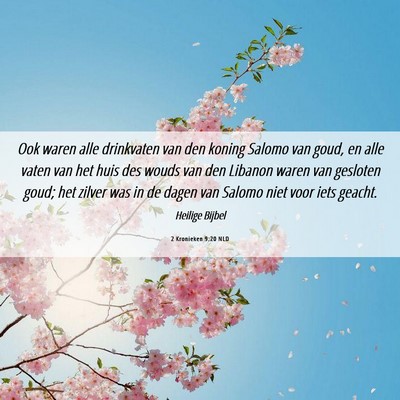 Picture 06 - 2 Kronieken 9:20 NLD - Ook waren alle drinkvaten van den koning Salomo - Bible Verse Picture