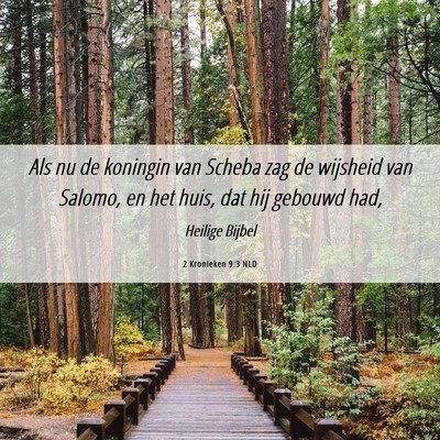 Picture 06 - 2 Kronieken 9:3 NLD - Als nu de koningin van Scheba zag de wijsheid van - Bible Verse Picture