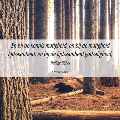 Picture 06 - 2 Petrus 1:6 NLD - En bij de kennis matigheid, en bij de matigheid - Bible Verse Picture