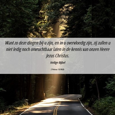Picture 06 - 2 Petrus 1:8 NLD - Want zo deze dingen bij u zijn, en in u - Bible Verse Picture